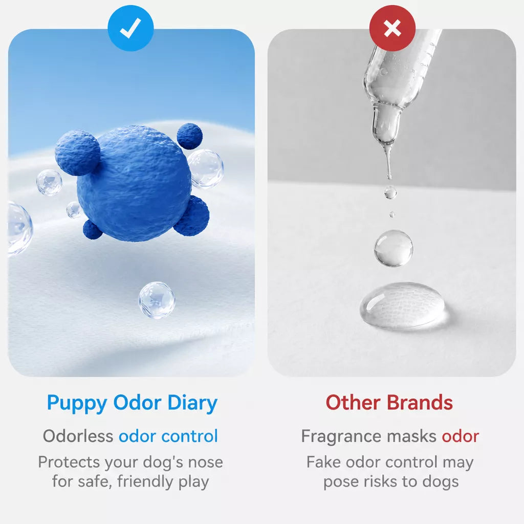 Dog Diaper Pants for Male and Female Dogs