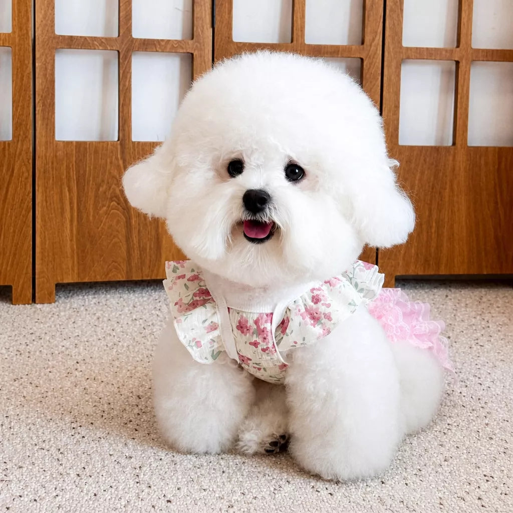 Floral Pet Dress with Leash Clip for Cats and Small Dogs