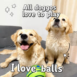 Interactive Squeaky Ball Dog Toy