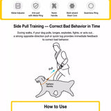 Steel Wire Dog Training Leash
