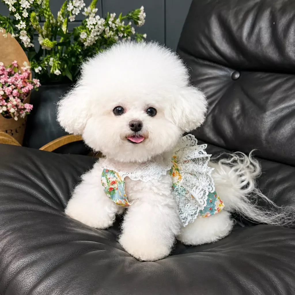 Lightweight Floral Lace Dress for Dogs & Cats