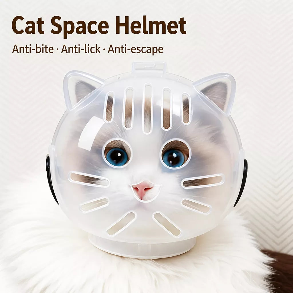 Clear Plastic Pet Recovery Cone for Cats