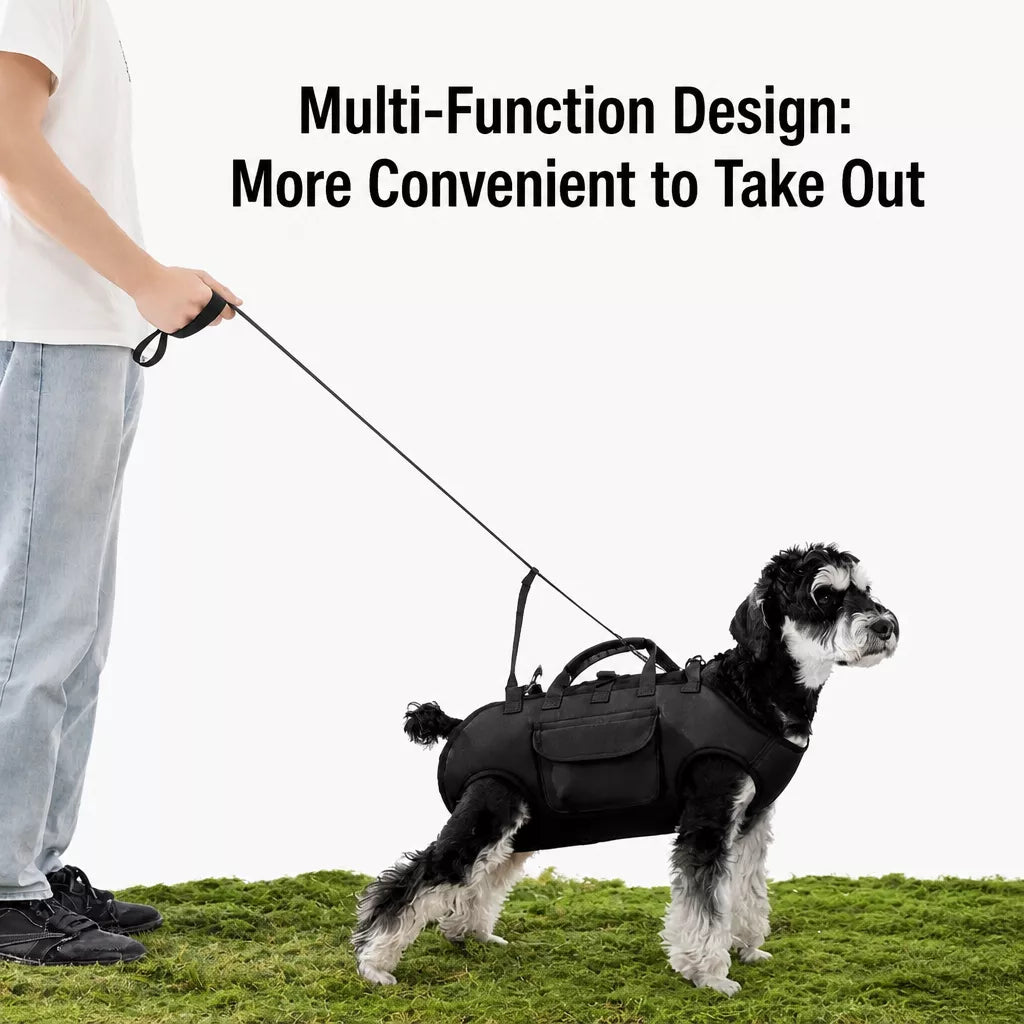 Convertible Pet Carrier Backpack and Shoulder Bag