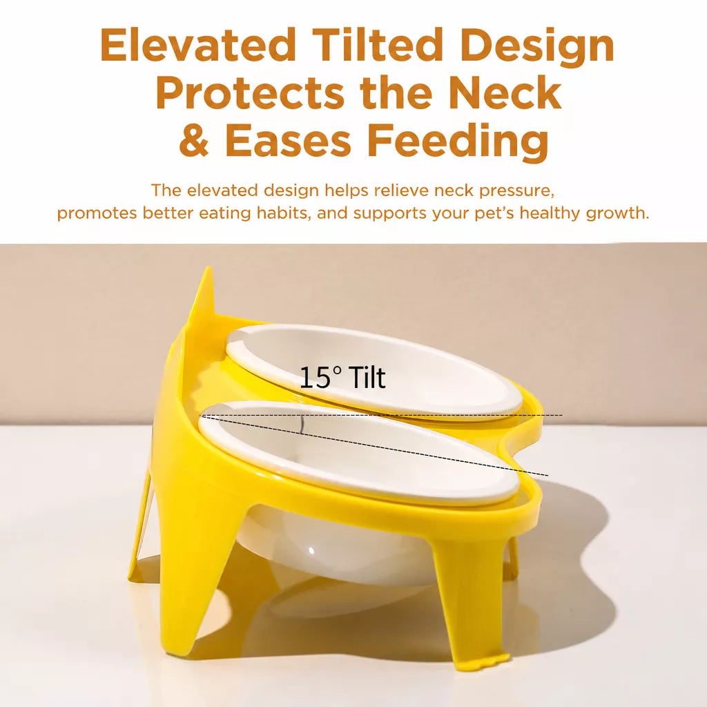 Elevated Double-Bowl Ceramic Cat Feeding Set