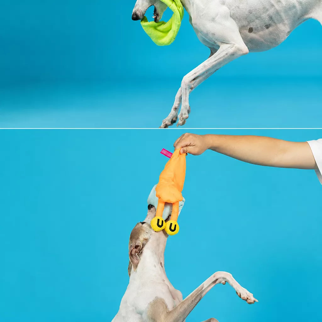 Snail Snuffle Squeaky Dog Toy