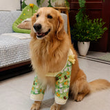 Adjustable Dog Leg Cover for Medium and Large Dogs