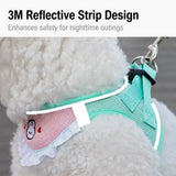 Nylon Dog & Cat Harness and Leash for Everyday Walks