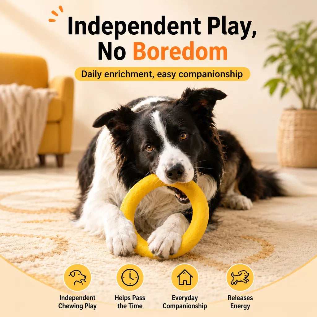 Silicone Dog Ring Toy for Fetch and Tug Play