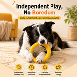 Silicone Dog Ring Toy for Fetch and Tug Play