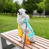 Four-Leg Dog Jumpsuit for Outdoor Wear