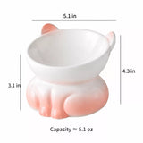 Elevated Ceramic Cat Bowl
