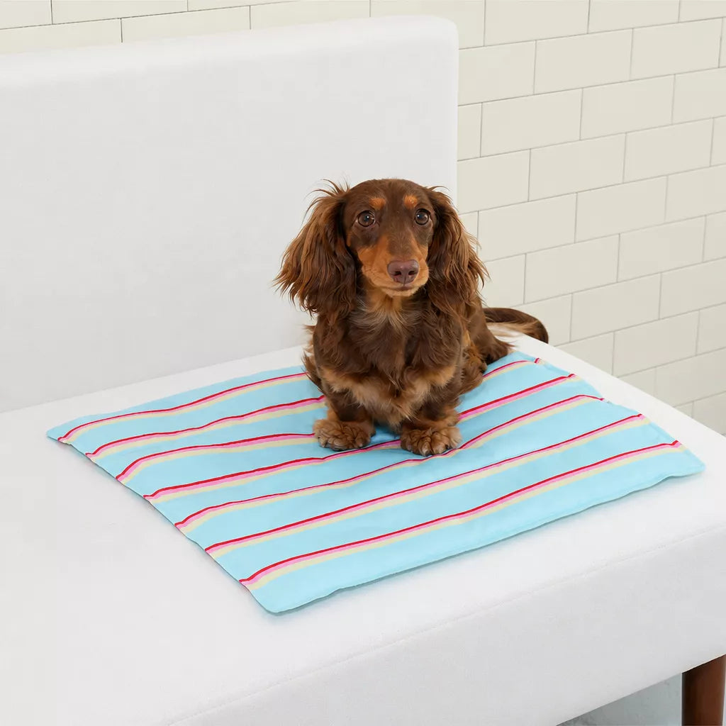 Striped Pet Mat for Dogs and Cats