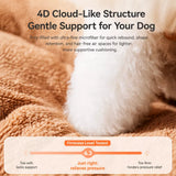 Covered Dog Bed