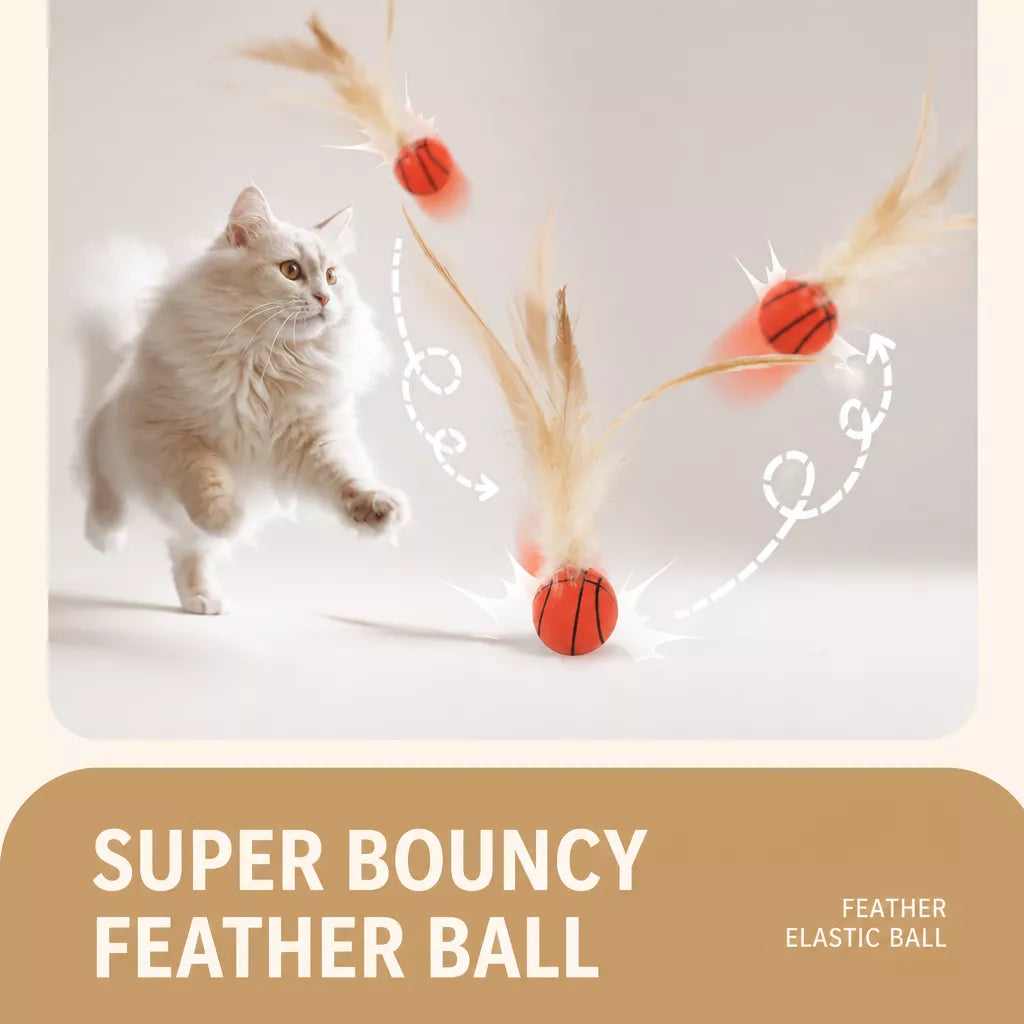 Cat Ball Toy with Feather Details