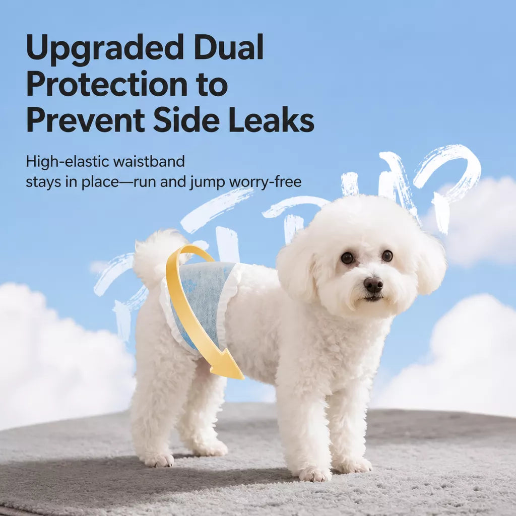 Disposable Dog Diapers for Male and Female Dogs