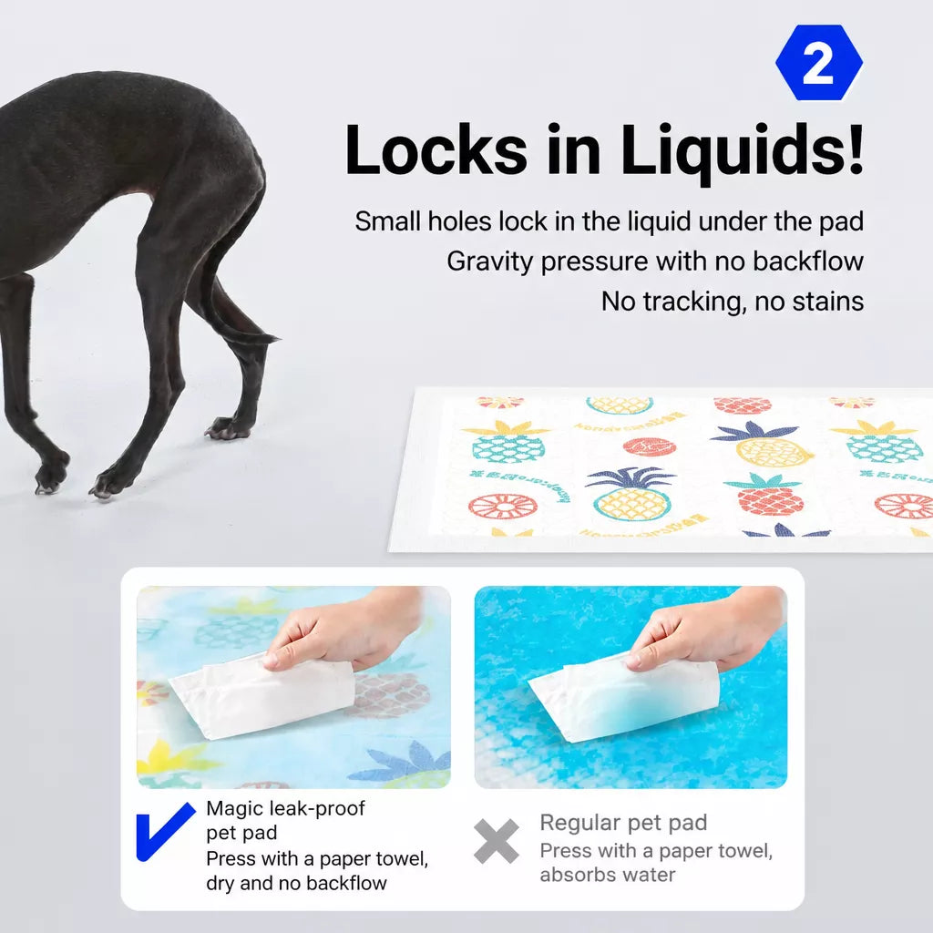 Absorbent Dog Training Pads for Indoor Potty Training