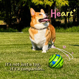 Interactive Squeaky Ball Dog Toy