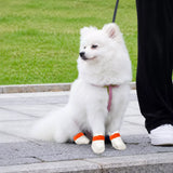 Disposable Dog Paw Covers for Outdoor Walks