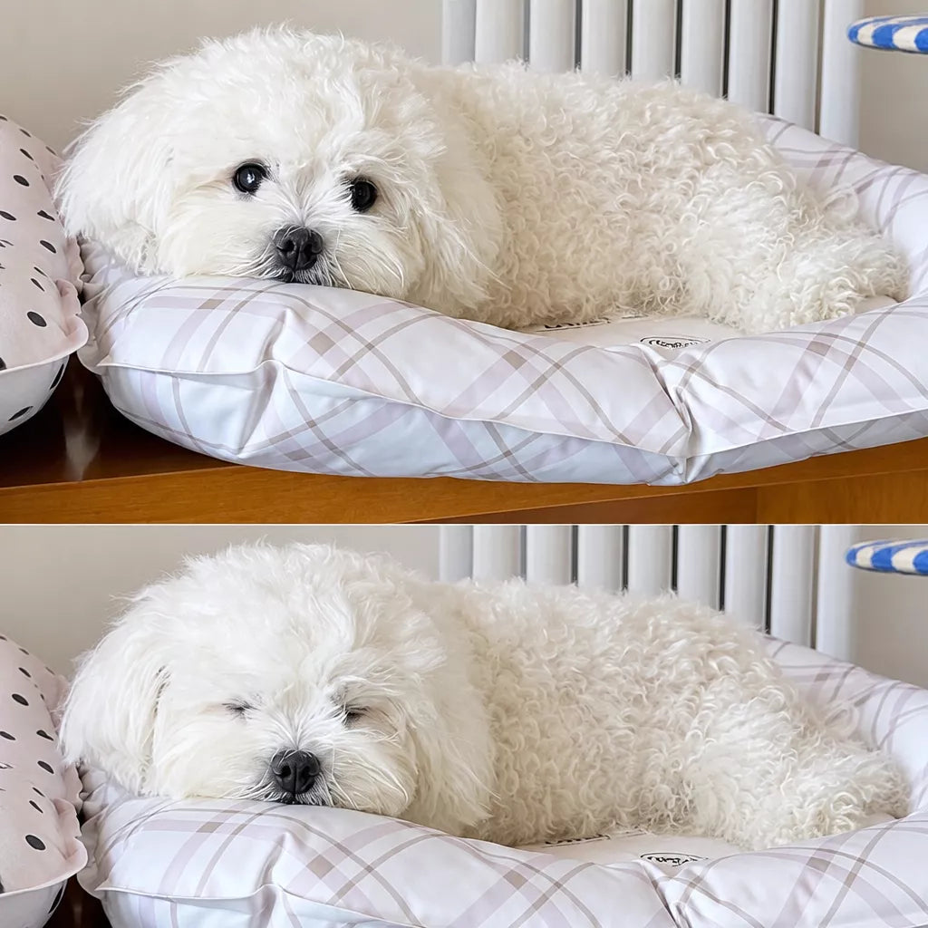 Water-Resistant Pet Rest Mat for Dogs