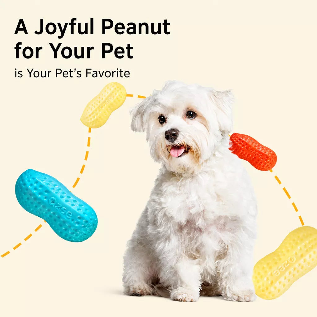 Squeaky Peanut-Shaped Dog Toy
