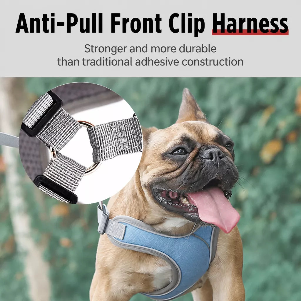 Dog Harness and Leash Set for Small to Medium Dogs