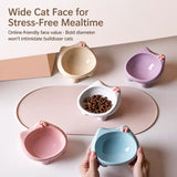 Ceramic Pet Bowl