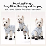 Lightweight Four-Leg Mesh Suit for Small Dogs