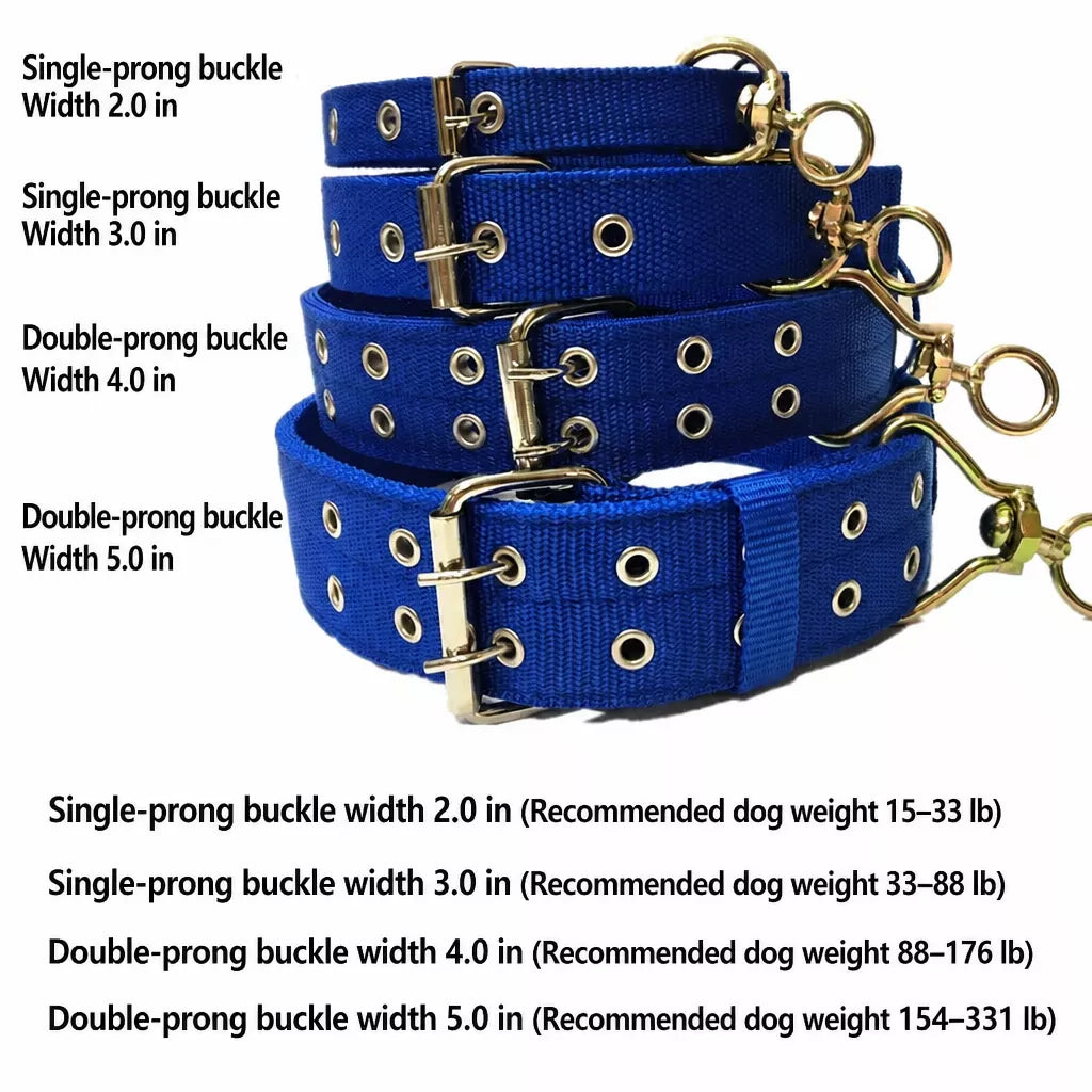 Nylon Dog Collar for Small to Large Dogs