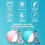 Portable Pet Water Bottle with Foldable Silicone Bowl
