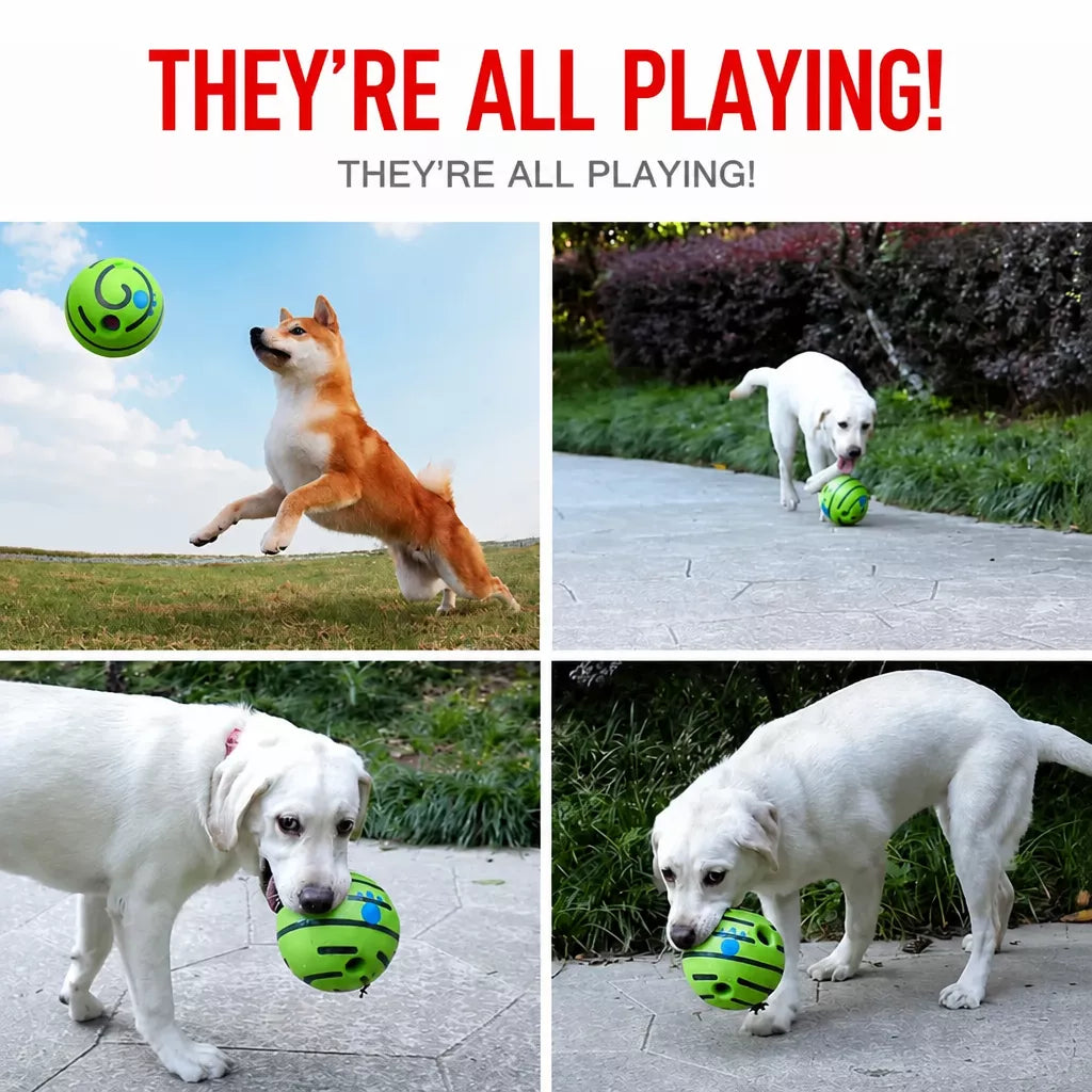 Interactive Squeaky Ball Dog Toy