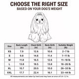 Summer Pet Shirt for Small Dogs
