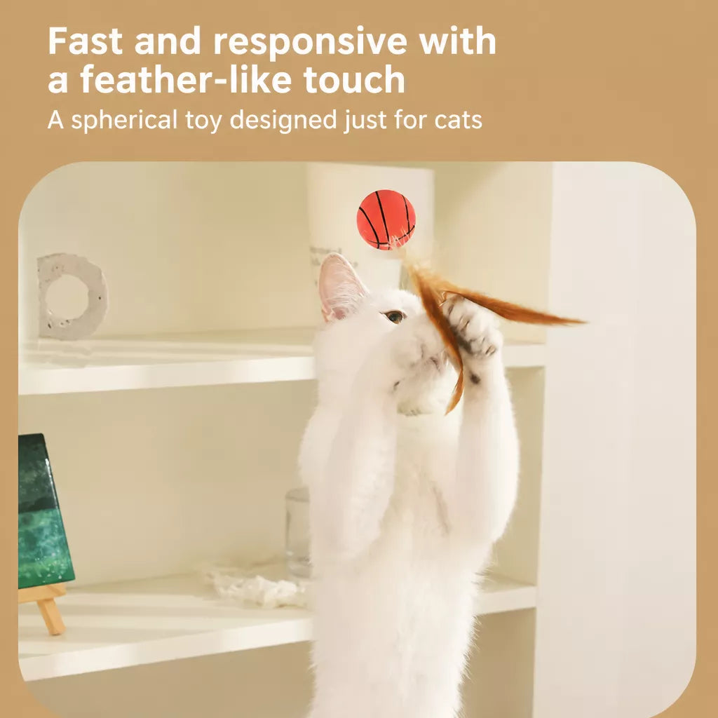 Cat Ball Toy with Feather Details