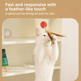 Cat Ball Toy with Feather Details