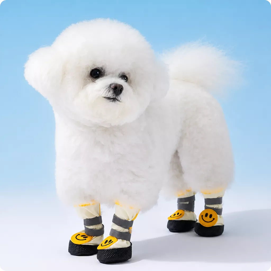 Soft-Sole Nylon Dog Boots for Small to Medium Dogs