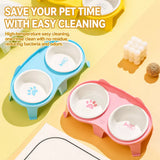 Elevated Double-Bowl Ceramic Cat Feeding Set