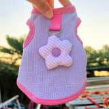 Cat & Small Dog Vest with Leash Opening