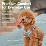Dog Harness and Leash Set for Small to Medium Dogs