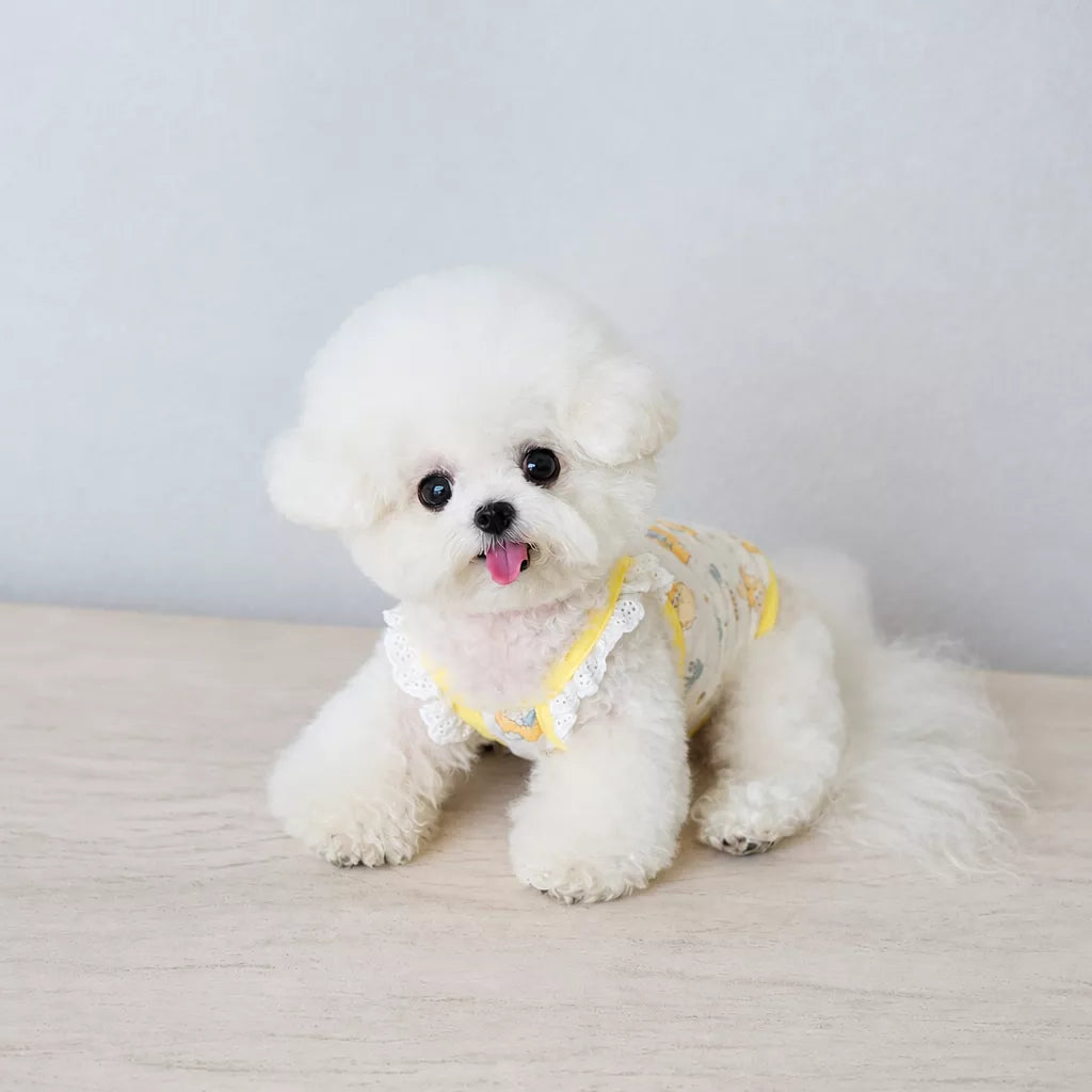 Lightweight Dog & Cat Vest