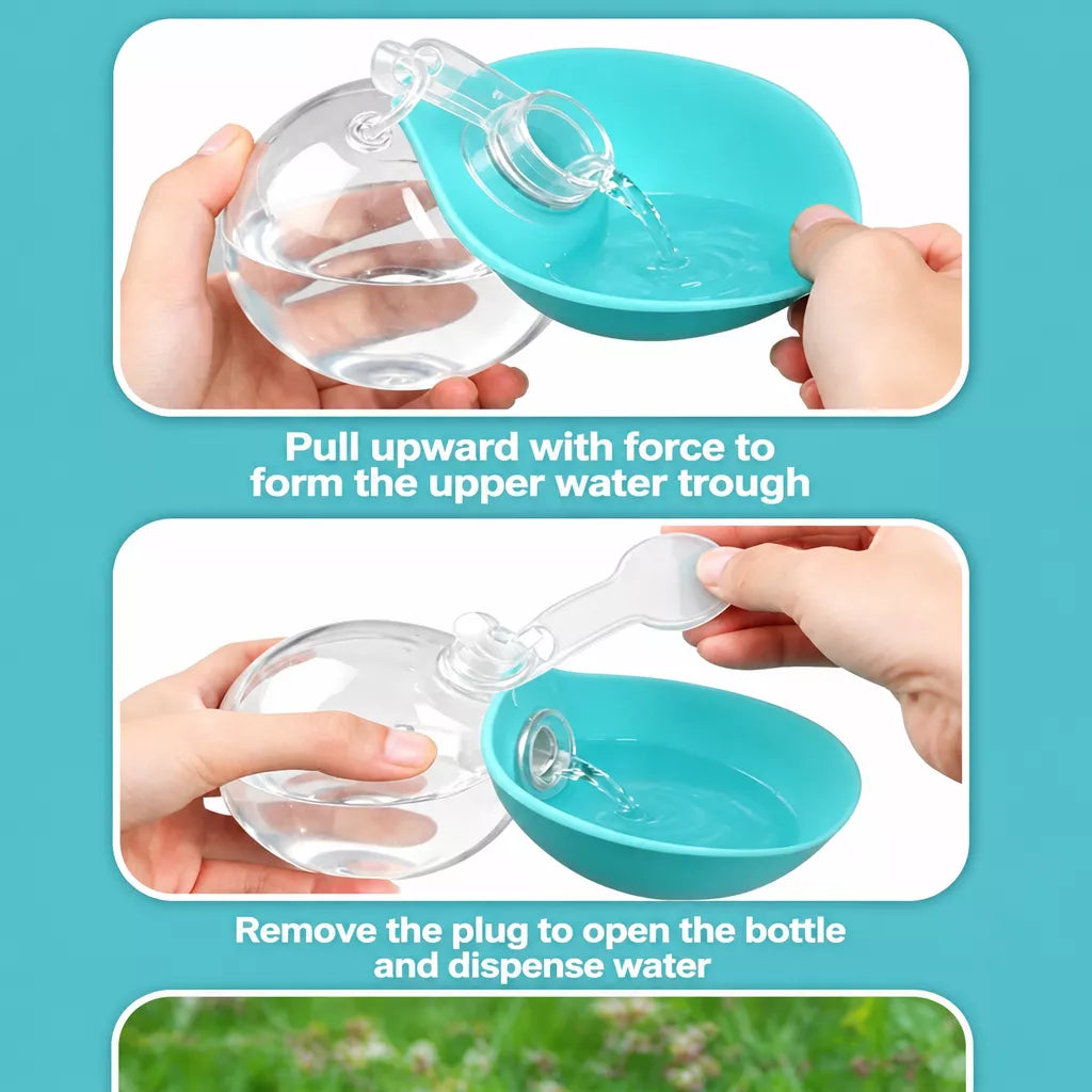 Portable Pet Water Bottle with Foldable Silicone Bowl