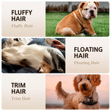 Boar Bristle Grooming Comb for Dogs and Cats