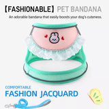 Nylon Dog & Cat Harness and Leash for Everyday Walks