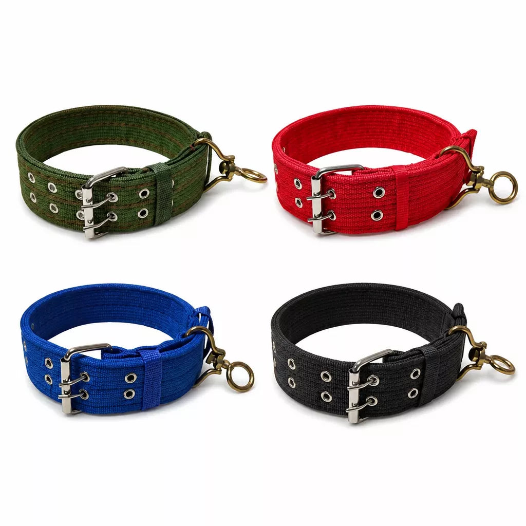 Adjustable Nylon Dog Collar