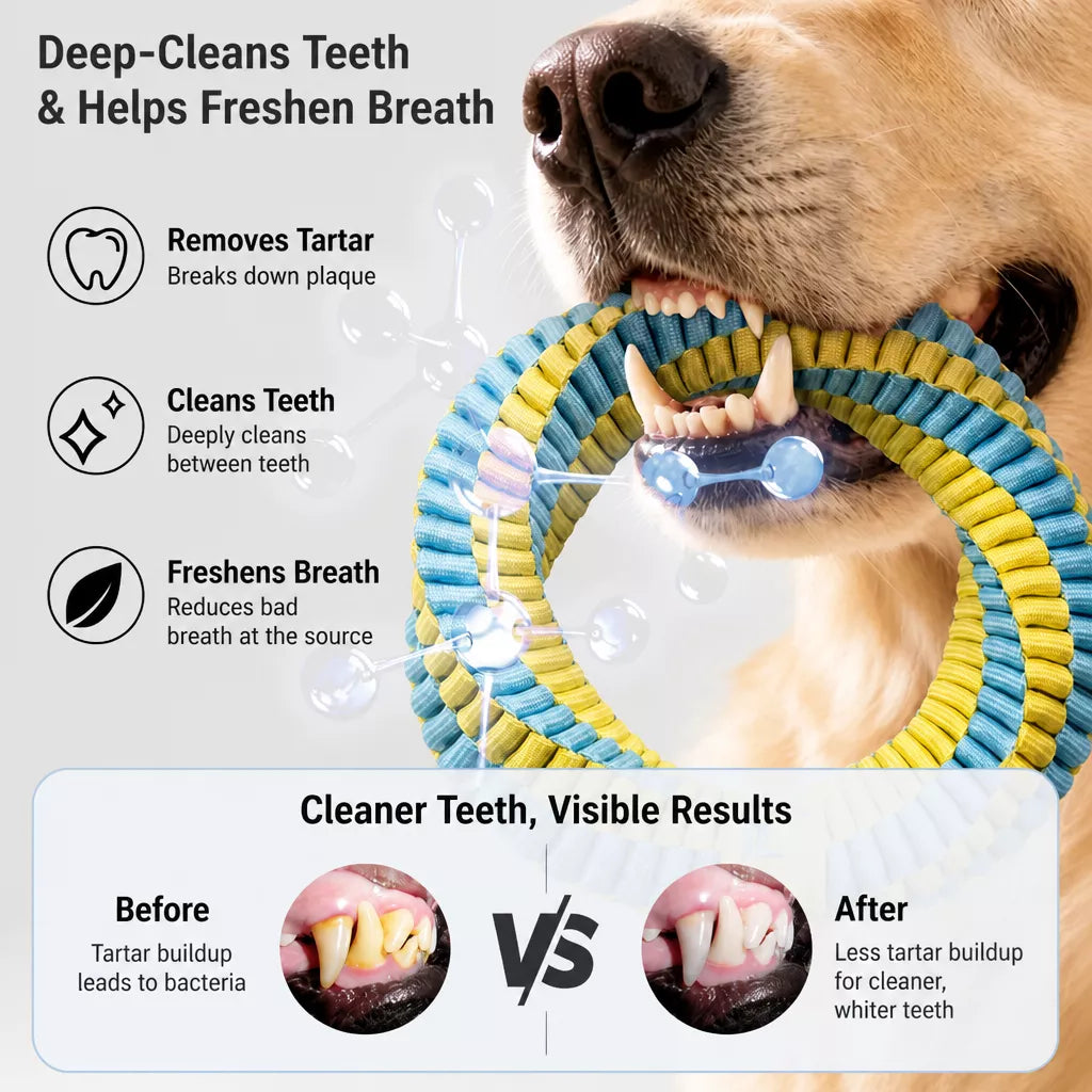 Knotted Polyester Rope Tug Toy for Dogs