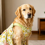 Summer Dog Dress with Shoulder Straps for Medium to Large Dogs