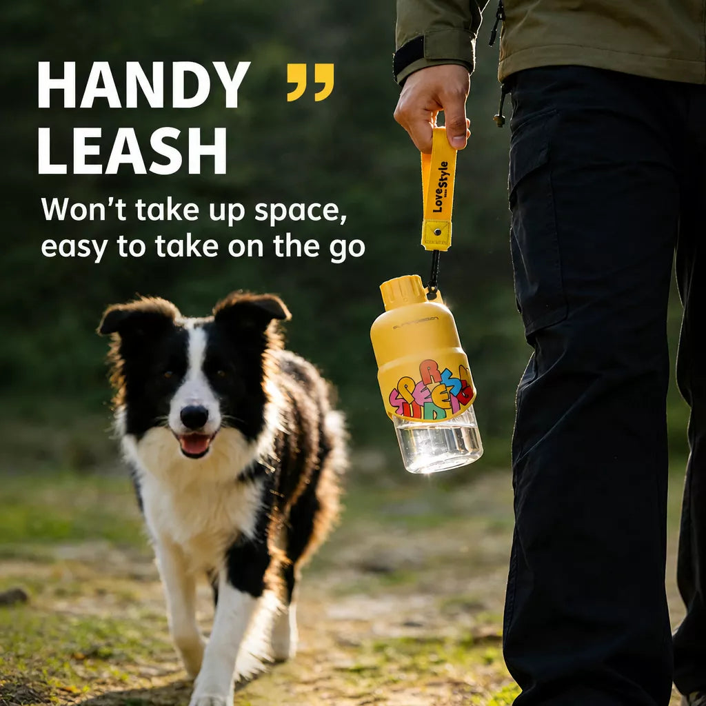 Portable Foldable Dog Water Bottle for Walks and Travel