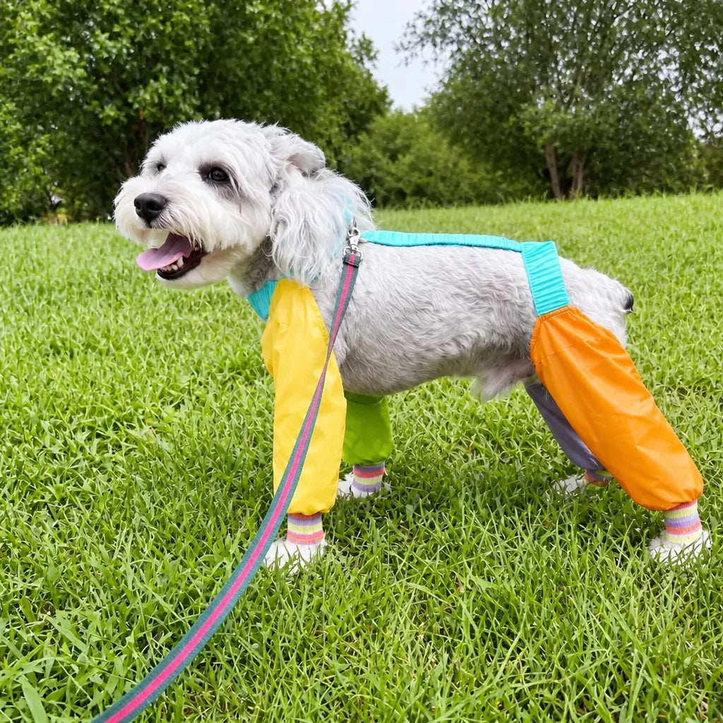 Four-Leg Dog Jumpsuit for Outdoor Wear