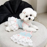 Pet Tank Tops and Strappy Dresses