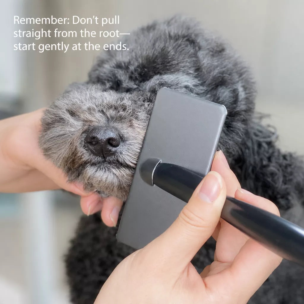 Pet Grooming Pin Brush for Long-Haired Cats and Dogs