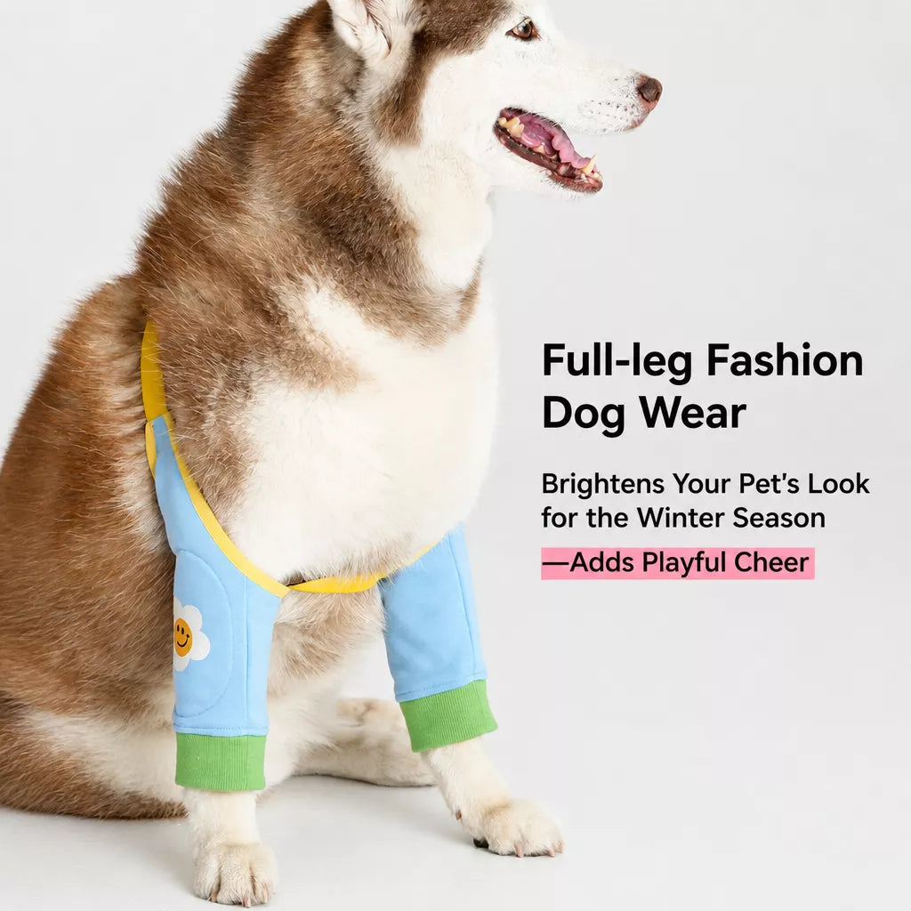 Dog Leg Cover for Year-Round Everyday Wear