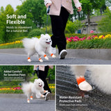 Disposable Dog Paw Covers for Outdoor Walks